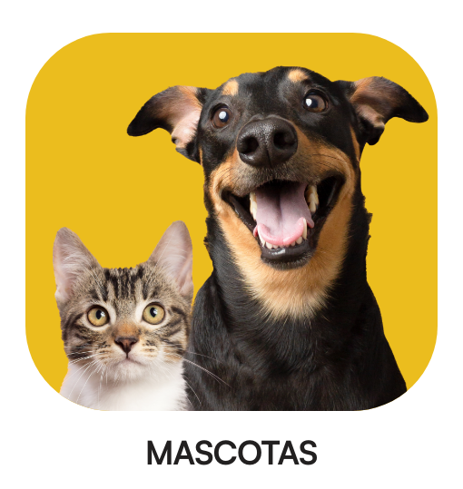 Mascotas